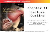 11-1 Chapter 11 Lecture Outline See PowerPoint Image Slides for all figures and tables pre-inserted into PowerPoint without notes. Copyright (c) The McGraw-Hill.
