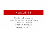 MUSCLE II Skeletal muscle Muscle force, muscle work, muscle fatigue Smooth muscle Heart muscle.