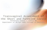 Transvaginal Assessment of the Short and Funneled Cervix Professor Curtis L Lowery MD Department of Ob/Gyn UAMS Collage of Medicine.