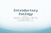 Introductory Zoology BIO 2 Tuesday & Thursday 1:00-2:15 Tuesday & Thursday 2:30-5:20 Nancy Wheat nwheat@hartnell.edu.