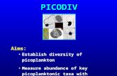 PICODIV Aims: Establish diversity of picoplankton Measure abundance of key picoplanktonic taxa with molecular methods.