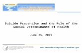 1  Suicide Prevention and the Role of the Social Determinants of Health June 25, 2009.