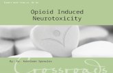 Expect more from us. We do. Opioid Induced Neurotoxicity By: Dr. Kathleen Sproules.
