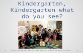 Kindergarten, Kindergarten what do you see? Picture from when we caught the Ginger Bread Man after he ran around our school.