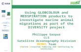 Slide 1 Using GLOBCOLOUR and MEDSPIRATION products to investigate marine animal migrations as part of the DIVERSITY project Philippe Gaspar CLS Satellite.