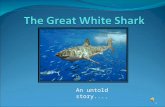 An untold story.... 1. What’s In A Name? The Great White Shark is also known as the ‘White Pointer’, ‘White Shark’ and ‘White Death’. Its scientific name.