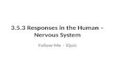 3.5.3 Responses in the Human – Nervous System Follow-Me – iQuiz.
