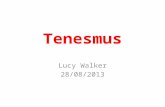 Tenesmus Lucy Walker 28/08/2013. 2010 Palliative Medicine Curriculum “Know about the causes of tenesmus” “Assessment and management of tenesmus”