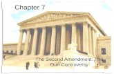 Chapter 7 The Second Amendment: The Gun Controversy.