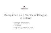 Mosquitoes as a Vector of Disease in Ireland George Sharpson P.E.H.O. Fingal County Council.