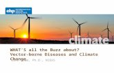 WHAT’S all the Buzz about? Vector-borne Diseases and Climate Change Linh Pham, Ph.D., NIEHS.