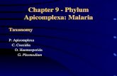 Chapter 9 - Phylum Apicomplexa: Malaria Taxonomy P. Apicomplexa C. Coccidia O. Haemosporida G. Plasmodium.