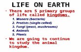 LIFE ON EARTH There are 5 primary groups of life called kingdoms.There are 5 primary groups of life called kingdoms. 1. Monera (bacteria) 2. Protists (single-celled)