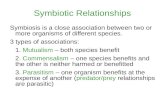 Symbiotic Relationships Symbiosis is a close association between two or more organisms of different species. 3 types of associations: 1. Mutualism – both.