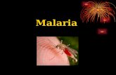 Malaria Alternative names: · Quartan malaria · Falciparum malaria · Blackwater fever · Tertian malaria.