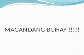 MAGANDANG BUHAY !!!!!. LEVEL OF READINESS OF CALAMBA BAYSIDE NATIONAL HIGH SCHOOL FOR TECHNICAL EDUCATION AND SKILLS DEVELOPMENT AUTHORITY ( TESDA ) ACCREDITATION.