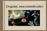 Organic macromolecules. Intro to organic molecules Organic molecules by definition contain carbon. Many organic molecules are made of chains, called polymers.