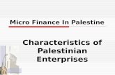 Micro Finance In Palestine Characteristics of Palestinian Enterprises.