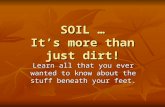 SOIL … It’s more than just dirt! Learn all that you ever wanted to know about the stuff beneath your feet.
