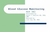 Blood Glucose Monitoring NUR 302 Developed by: Susan L Shelton RN, MSN, CNM Revised by: Jill Ray RN, MSN.