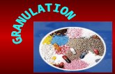Granulation is the process in which primary powder particles are made to adhere to form larger, multiparticle entities called granules. Pharmaceutical.