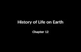 History of Life on Earth Chapter 12. HOW DID LIFE BEGIN? Section 12-1.