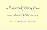 Direct numerical simulation study of a turbulent stably stratified air flow above the wavy water surface. O. A. Druzhinin, Y. I. Troitskaya Institute of.