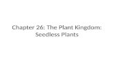 Chapter 26: The Plant Kingdom: Seedless Plants. Charophytes Green algae Closest ancestor to plants Evidence Charales and Coleochaetes.