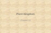 Plant Kingdom Chapter 22. What Is A Plant? Plants are eukaryotic, multicellular organisms that have chlorophyll a and chlorophyll b and carry on photosynthesis.