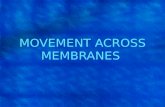 MOVEMENT ACROSS MEMBRANES. Role of plasma membrane Maintains the cell’s internal environment by: –Keeping some substances in and other substances out.