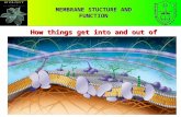 CHAPTER 5 THE STRUCTURE AND FUNCTION OF MACROMOLECULES MEMBRANE STUCTURE AND FUNCTION How things get into and out of the cell.