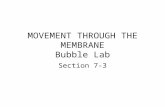MOVEMENT THROUGH THE MEMBRANE Bubble Lab Bubble Lab Section 7-3.