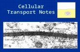 Cellular Transport Notes. Different Name…Same Structure! There are several names for the Cell Membrane: KNOW ALL 3 TERMS! –Cell Membrane –Plasma Membrane.