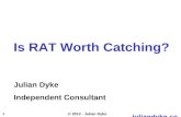 Juliandyke.com 1 © 2012 - Julian Dyke Julian Dyke Independent Consultant Is RAT Worth Catching?