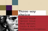 Three-way choice Option Price Option Value Real Options Calls & Puts Endogenous/Exogenous Option Price Option Value Real Options Calls & Puts Endogenous/Exogenous.