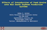 Effects of Introduction of Feed Grains into Mid South Soybean Production Systems Effects of Introduction of Feed Grains into Mid South Soybean Production.