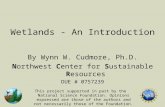 Wetlands - An Introduction By Wynn W. Cudmore, Ph.D. Northwest Center for Sustainable Resources DUE # 0757239 This project supported in part by the National.