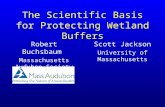The Scientific Basis for Protecting Wetland Buffers Robert Buchsbaum Massachusetts Audubon Society Scott Jackson University of Massachusetts.