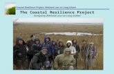 The Coastal Resilience Project Analyzing Wetland Loss on Long Island Coastal Resilience Project: Wetland Loss on Long Island.