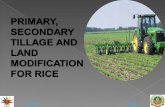NextEnd. Tillage is the most important operation to be carried out before take up sowing/ planting in rice. Rice under different ecosystems:  Deep water.