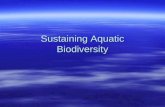 Sustaining Aquatic Biodiversity. Questions for Today  What are the major threats to aquatic biodiversity (HIPPCO)?  How can we protect and sustain marine.