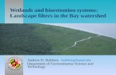 Wetlands and bioretention systems: Landscape filters in the Bay watershed Andrew H. Baldwin baldwin@umd.edu Department of Environmental Science and Technology.