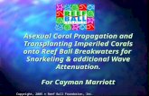 Asexual Coral Propagation and Transplanting Imperiled Corals onto Reef Ball Breakwaters for Snorkeling & additional Wave Attenuation. For Cayman Marriott.