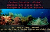 Carbon Dioxide, Global Warming and Coral Reefs: Prospects for the Future Dr. Craig D. Idso, Chairman Center for the Study of Carbon Dioxide and Global.