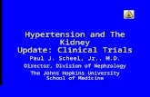 Hypertension and The Kidney Update: Clinical Trials Paul J. Scheel, Jr., M.D. Director, Division of Nephrology The Johns Hopkins University School of Medicine.