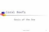 Coral Reefs1 Oasis of the Sea. Coral Reefs2 Why are coral reefs unique?
