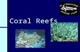 Coral Reefs. What is Coral? GIANT STRUCTURES built by tiny creatures GIANT STRUCTURES built by tiny creatures Some reef systems are so huge that they.