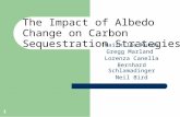 1 The Impact of Albedo Change on Carbon Sequestration Strategies Maithilee Kunda Gregg Marland Lorenza Canella Bernhard Schlamadinger Neil Bird.