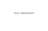 SOIL TAXONOMY. IV. Soil Taxonomy Hierarchy Order Suborder Great Group Subgroup Family Series.