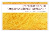 Introduction to Organizational Behavior Week 6 – Welcome Back!